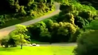 びっくりする動画 Youtube びっくりする動画 Youtube