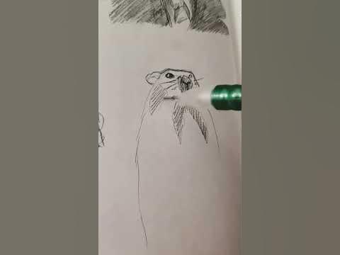 Groundhogs day, movie! #art #drawing #sketch #groundhogsday #