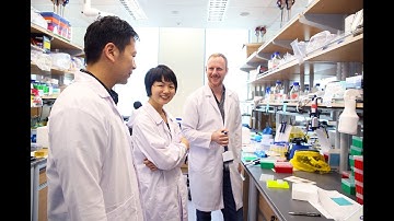 Lean LaunchPad Singapore