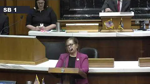 Rep Joanna King on SB1, Aug  5, 2022