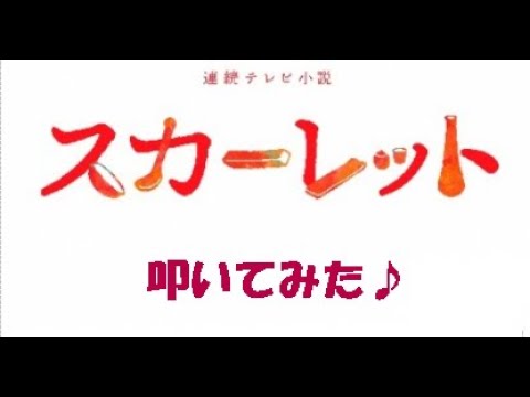 スカーレット　主題歌OP　フレア／Superfly　叩いてみた【COVER】