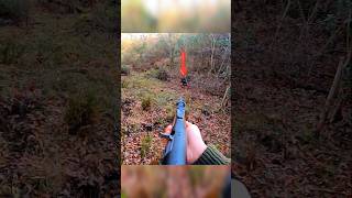Охота на кабана в лесу | Удачный выстрел#охота #hunting #загоннаяохота #кабан #весенняяохота