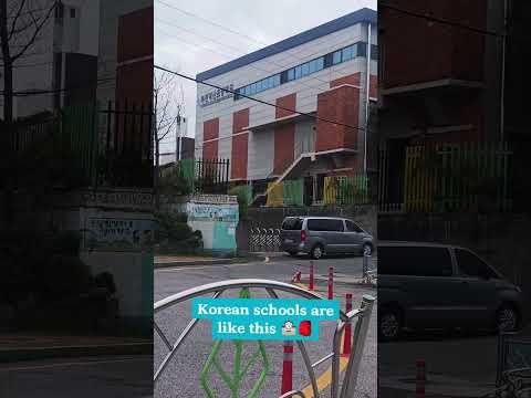 South korean schools are like this. 🥰🇰🇷💚 #youtubeshort #youtubevideo youtu