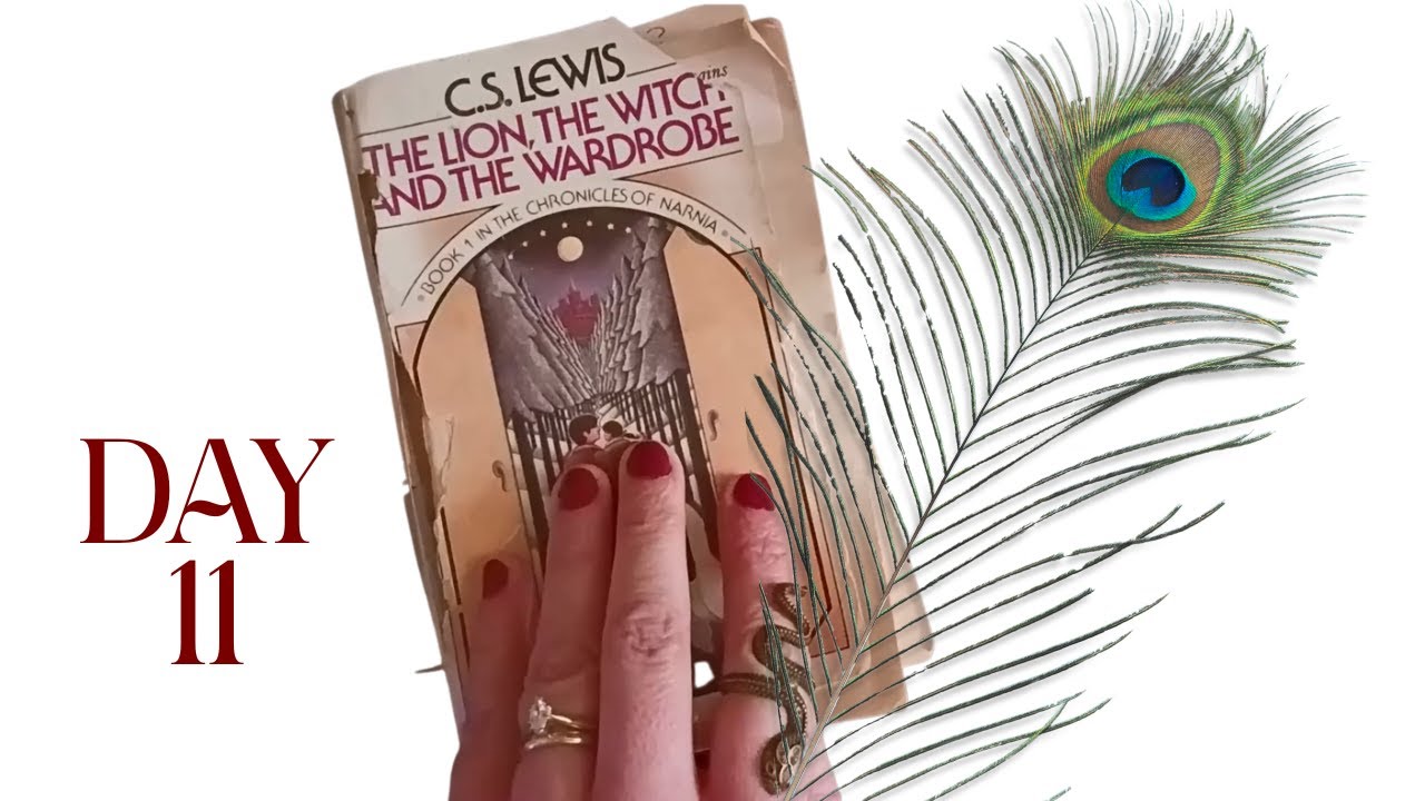 Обратный отсчет до Рождества в Нарнии — с котом!