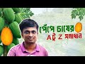 পেঁপে চাষের A টু Z সমাধান #everyone #viralvideo #agriculture #cultivation #papaya