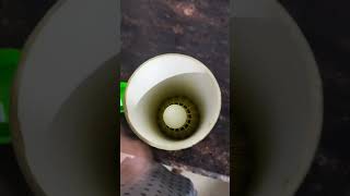 Li-Ning Swift X 100 Shuttle Best Under 500