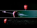Arrow hits apple in slow motion 