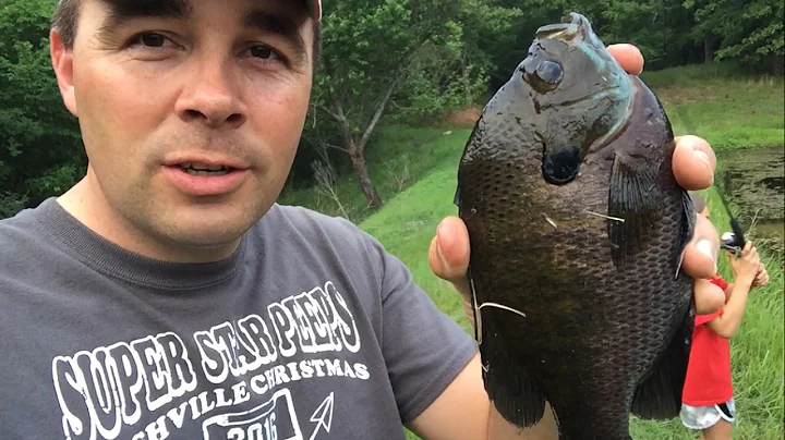 Catching HUGE Bluegill on EmmaLee's Birthday