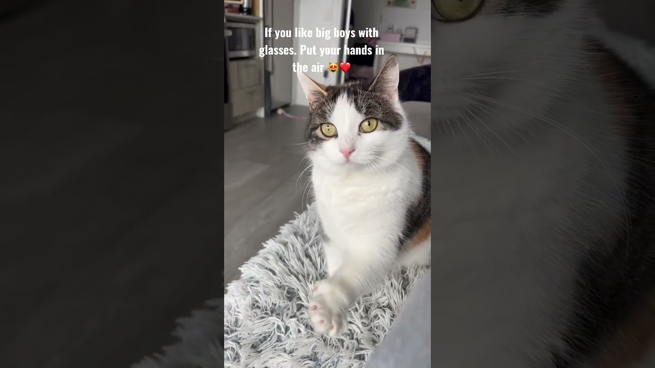 She loves boys with glasses ❤️ 