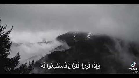 عندما تشعر بالوحدة القرآن الكريم أفضل صديق لك🤲❤