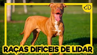 5 RAÇAS CANINAS mais DIFÍCEIS de cuidar! #somosdogueiros #RaçasDifíceis