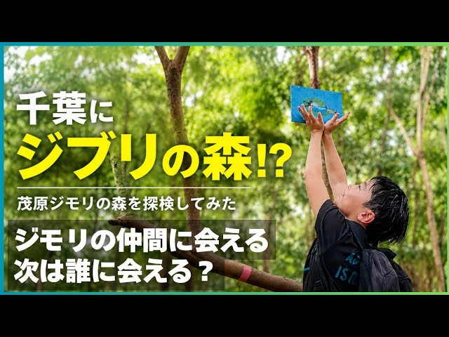 Chiba, Mobara] Treasure Hunting in Jimori Forest! Exploring and
