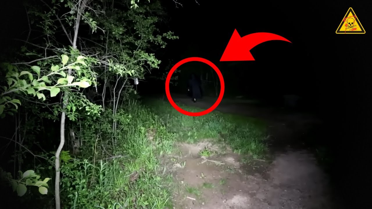 6 Encontros Reais E PERTURBADORES Em Florestas SINISTRAS! #13