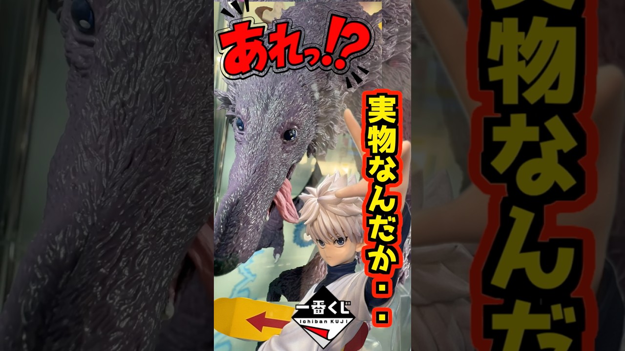 【あれッ⁉️ 実物なんだか…⁉️】 #hunter×hunter #フィギュア #一番くじ #shorts ハンター×ハンター ZAOLDYECK FAMILY キルア ゼノ ミケ ラストワン賞