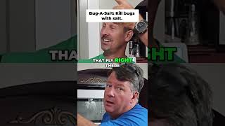 Bug-A-Salt: The Ultimate Household Bug Killer! #shorts
