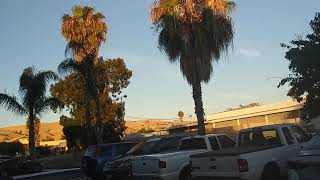 My Motel Review - Executive Inn Milpitas California