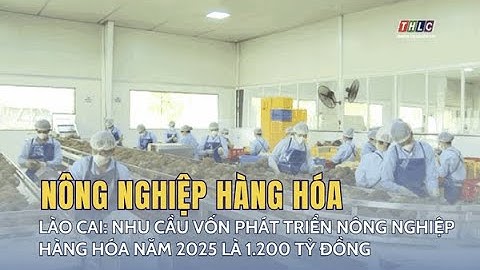 Lào Cai: nhu cầu vốn phát triển nông nghiệp hàng hóa năm 2025 là 1.200 tỷ đồng | THLC