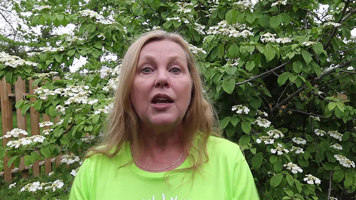 Lyme disease awareness.