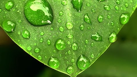 Graphic Design 3D Drops Of Water / Gimp Tutorial