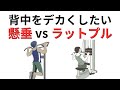 背中をデカくしたいなら懸垂とラットプルどっち?40代から肩を壊さないための最終回答