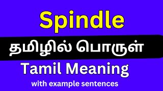 Spindle meaning in Tamil/Spindle தமிழில் பொருள்