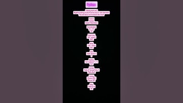 "Python String Essentials 🐍 | Indexing, Methods, Formatting & Slicing"