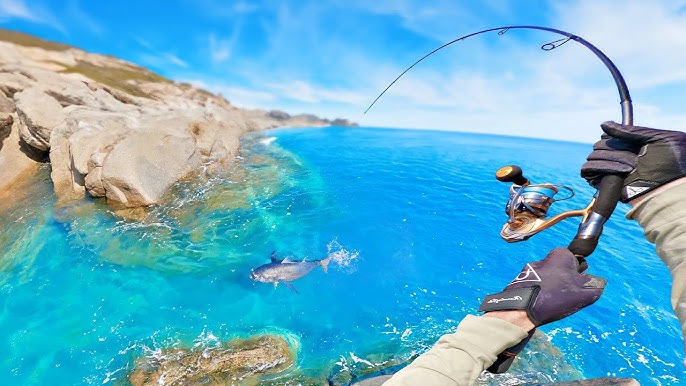 Beach fishing Australia for food 