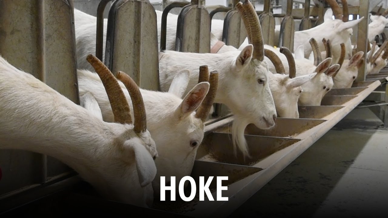 Journey Across the 100: Hoke County