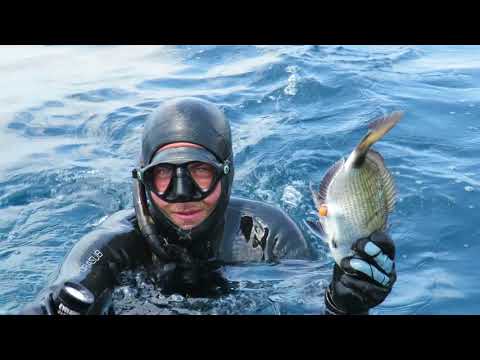 Video: Come Pescare Con Le Mani