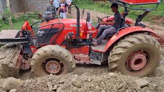 Saib Tsheb Khos Lawv Txoj Kev