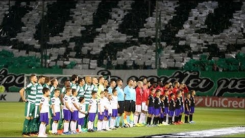ΠΑΝΑΘΗΝΑΪΚΟΣ - AJAX 2016/17