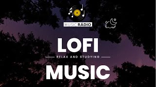 Hits Lofi Relax and Studying Vol 1 📀LOFI MUSIC📀