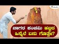 ಪಂಚ ತತ್ವಗಳ ಉಪಾಸನೆ ನಾಗರ ಪಂಚಮಿ | ಅವಧೂತ ಶ್ರೀ ವಿನಯ್ ಗುರೂಜಿ ||