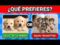 ¿QUÉ PREFIERES? - EDICIÓN ANIMALES 🐶🐱