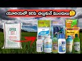 యూరియాలో కలిపి ఈ మందులను వాడుకోవచ్చు ? || Fungicides || insecticides || micronutrients