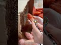 Chicken wing model being painted perfectly