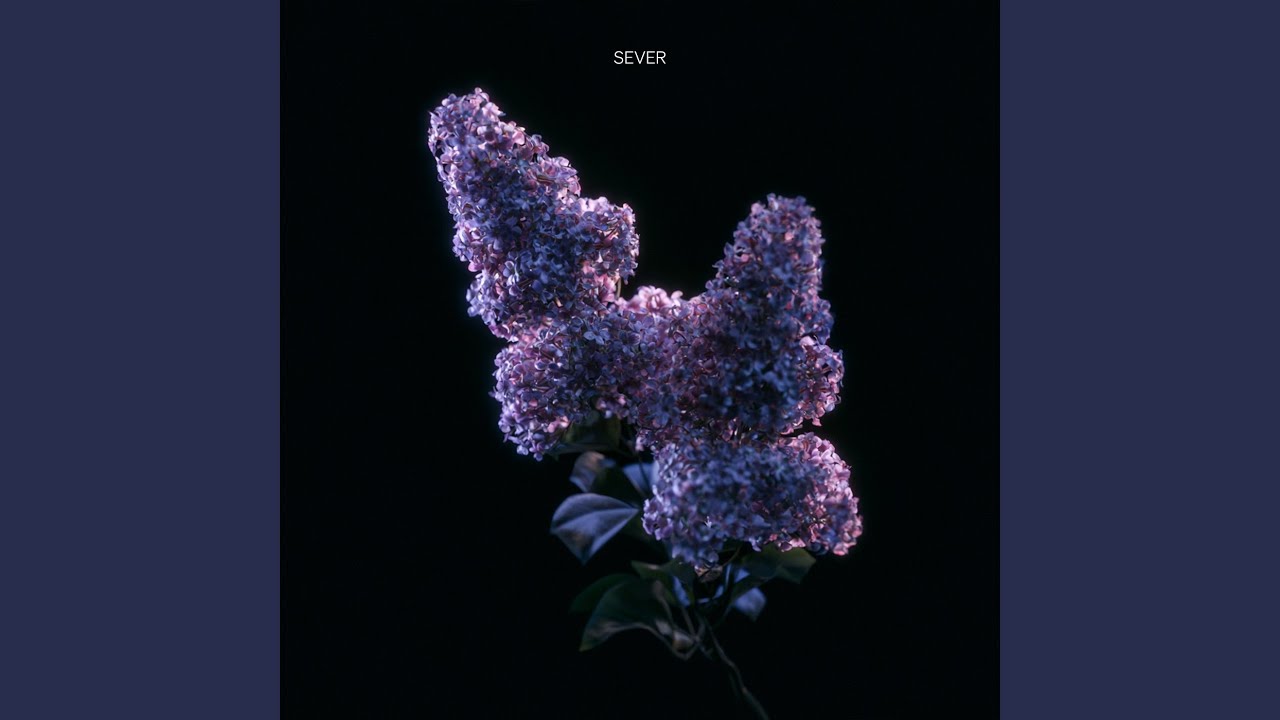 Lilac - YouTube