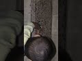 jab baby ne stairs climb kri #baby #stairs #youtubeshorts #shorts #shortsvideo #shortsviral #youtube