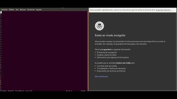 Estructura básica de un documento html
