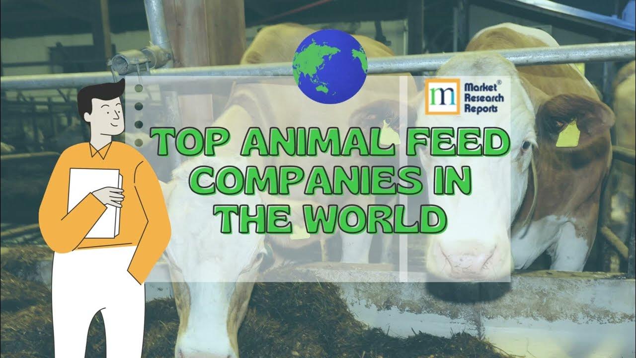 Top Animal Feed Companies in the World YouTube
