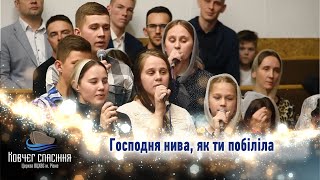 Господня нива, як ти побіліла || сім’я Улянчуків