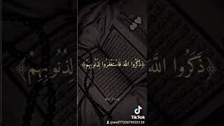 سورة آل عمران آية 135