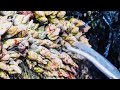 Barnacles cleanup - satisfying (Episode 536 )