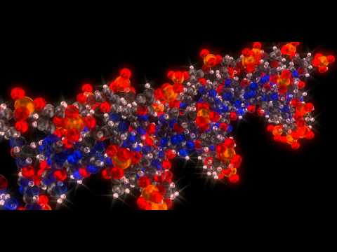 Open Zoomed Related Entry Glass DNA