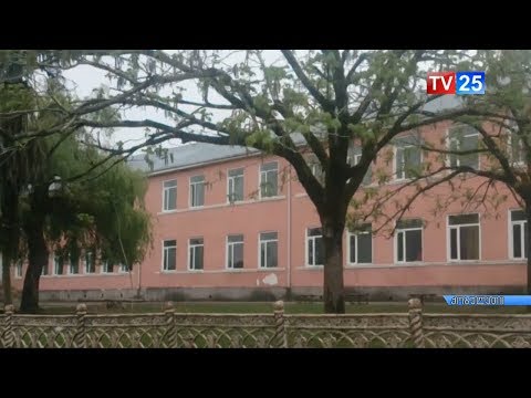 ლეღვას საჯარო სკოლის მოსწავლეს საშიშ ინტერნეტ თამაშში ჩართვას აიძულებდნენ?