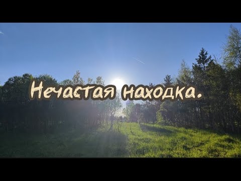 Видео: Нечастая находка. Коп май 2024.