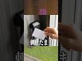 ホテルでやらかしエピソードが面白すぎたwww##shorts #マイクラ