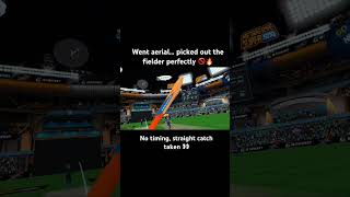 No timing, straight catch taken 👀 #ibcricket #metaquest3s