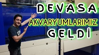 DÜNYANIN EN BÜYÜK EV AKVARYUMU, akvaryum balıkları, akvaryum kurulumu