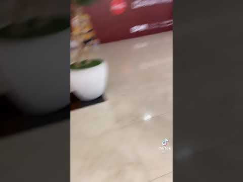 اغني بشرى الحربي